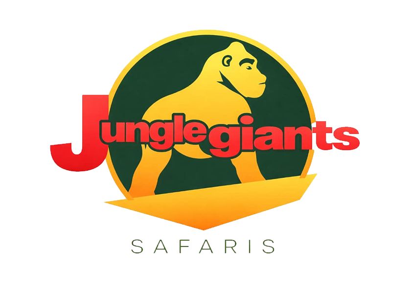 Footer Logo